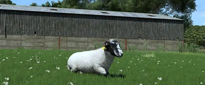 Tiere Schafrassen für RLRM Landwirtschafts Simulator mod