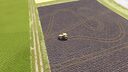 Persistent Tire Tracks