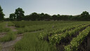Repopulate Fields