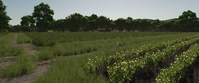 Scripte Felder Wiederbevölkern Landwirtschafts Simulator mod