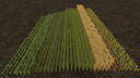 Row Seeding for Barley, Oat, Wheat, and Canola
