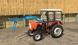 Lizard T-25