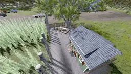 Small Hop Plantation