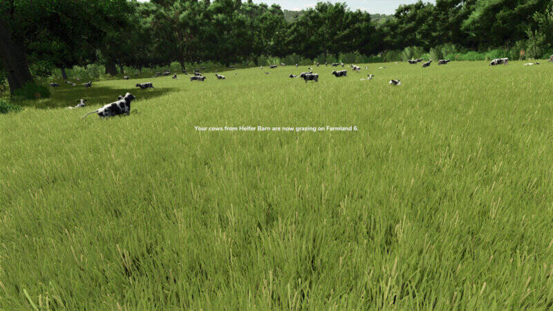 To Pasture and Back - Thumbnail 1