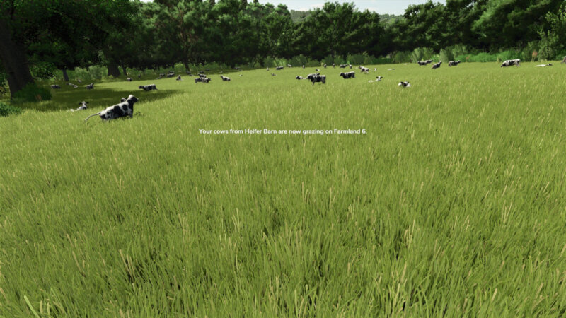 To Pasture and Back - Thumbnail 1