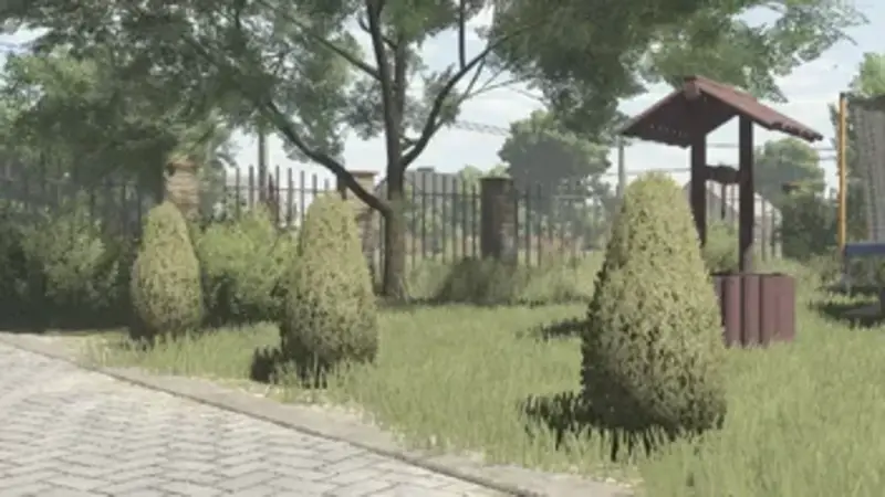 Zier-Thuja - Thumbnail 1