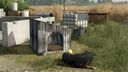 Pack alte Hundehütten