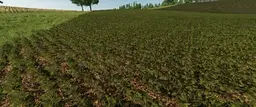 Fababean - Faba Beans (Prefab)
