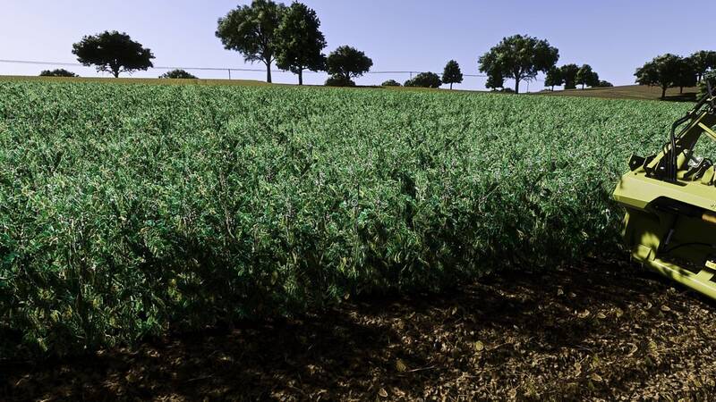 Broad Beans – Faba Bean Prefab - Thumbnail 1