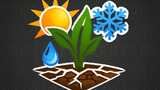 Seasonal Crop Stress Mod Thumbnail