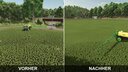 Herbicide Weed Cleanup