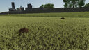 Dynamic Mole Hills