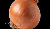 Global Onion Addon Mod Thumbnail