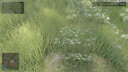 Grass Collection