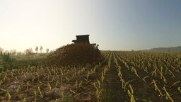 Manure Ground Deposits