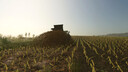 Manure Ground Deposits