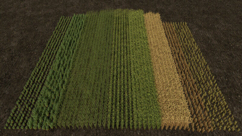 Row Seeding Barley, Oats, Wheat, Rapeseed & Multi-Fruits (Prefab) - Thumbnail 1