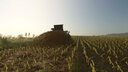 Manure on the Ground