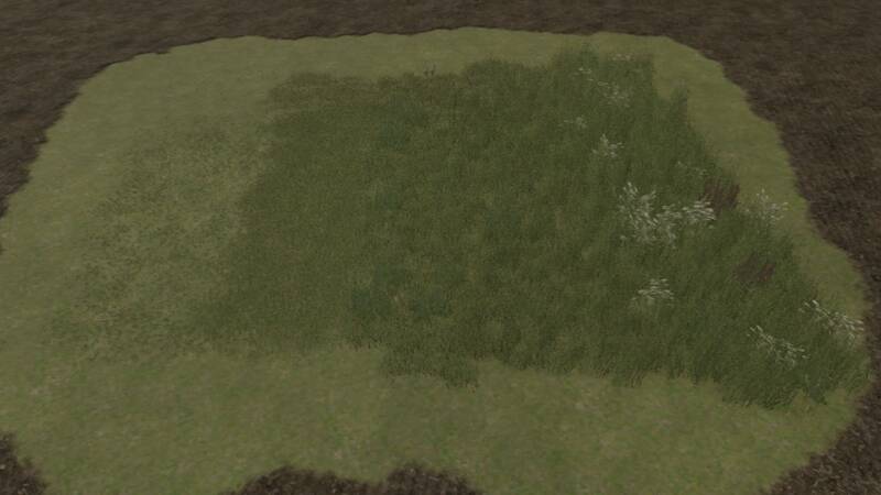 Meadow Decoration Foliage Textures - Thumbnail 1