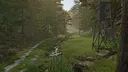 Palatinate Forest