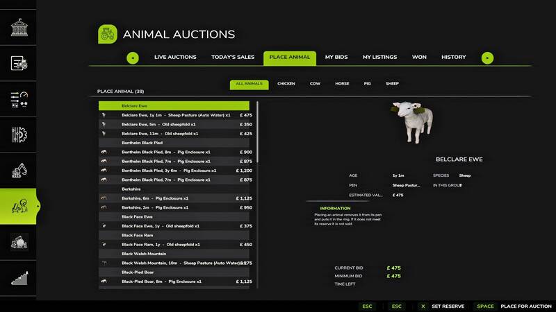 Animal Auctions - Thumbnail 1