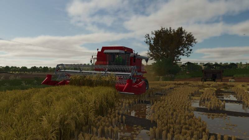 Southern Brazilian Rice Fields - Thumbnail 1