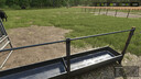 Rain Fills Water Troughs