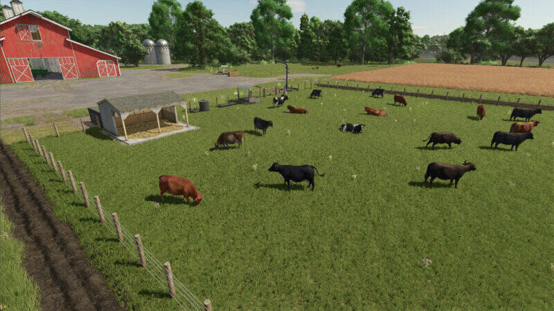 High-Capacity Cow Pasture - Thumbnail 1