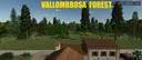 Vallombrosa Wald