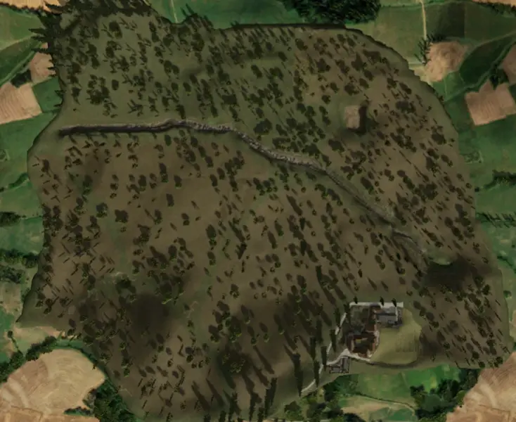 Vallombrosa Forest - Thumbnail 1