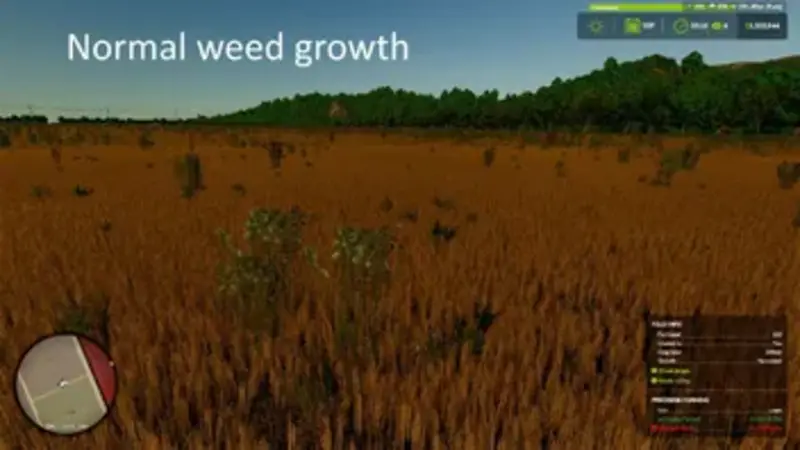 No Winter Weeds - Thumbnail 1