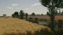 Borowiny