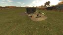 Chicken Coop