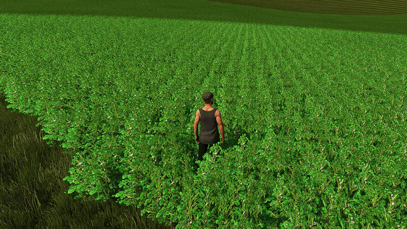 Faba Beans Prefab - Thumbnail 1