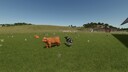 Storefront Stable - Husbandry Display Options