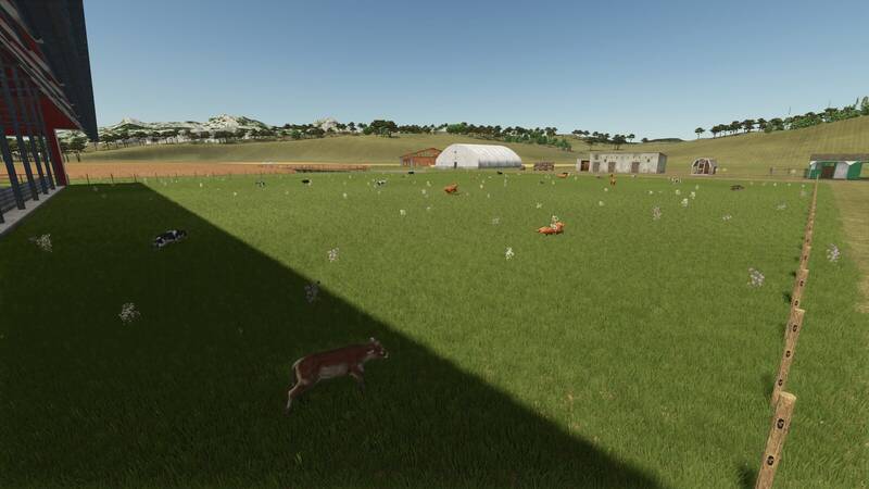 Storefront Stable - Husbandry Display Options - Thumbnail 1