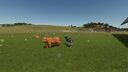 Stable Display Options for Husbandry