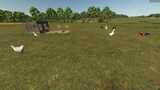 New Farm Animals – Goose, Duck, Turkey & Rabbit Mod Thumbnail