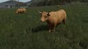 Animal Breeding Addon