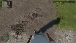First Person Player Body