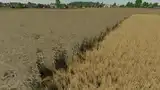 Realistic Wheat Texture Mod Thumbnail