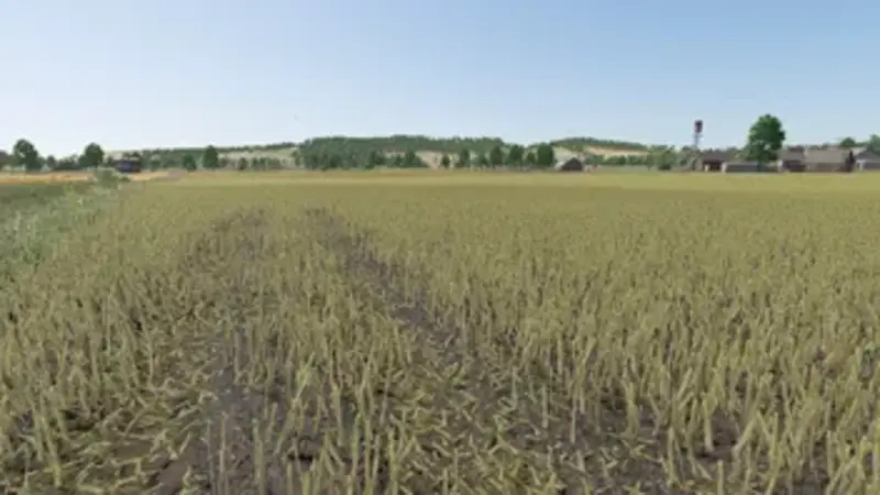 Improved Canola Plants - Thumbnail 1