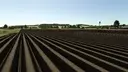 Improved Ground Textures