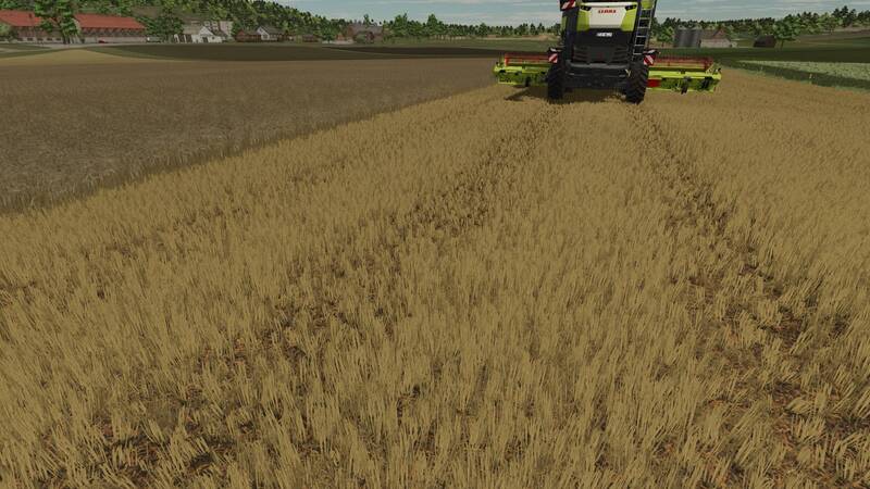 Realistische Weizentextur - Thumbnail 1