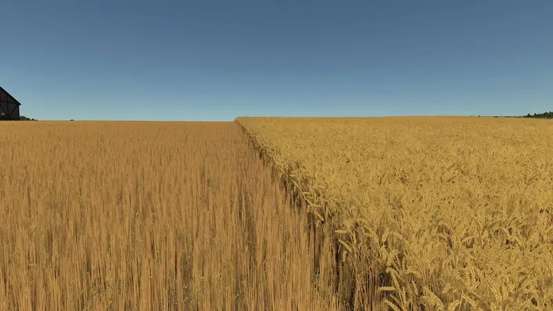 Improved Wheat XML