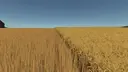 Improved Wheat XML