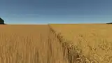 Improved Wheat XML Mod Thumbnail