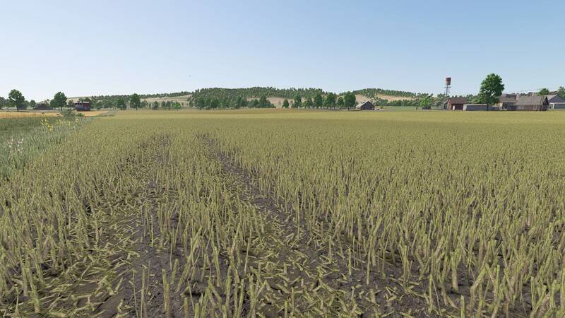 Verbesserte Rapspflanzen - Thumbnail 1