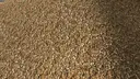 Holzhackschnitzel-Textur