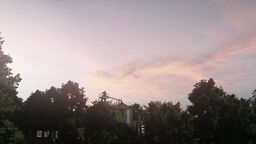 Real Sky